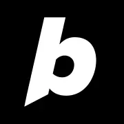 Bolt logo